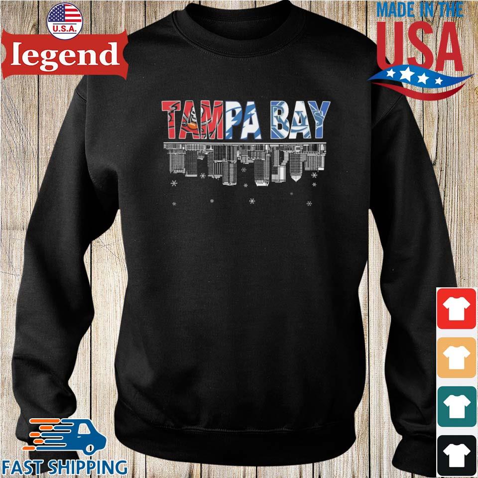 Tampa Bay Buccaneers Bay Rays Bay Lightning skyline logo shirt
