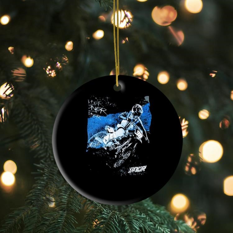 2024 Deegan 38 Mystery Ornament