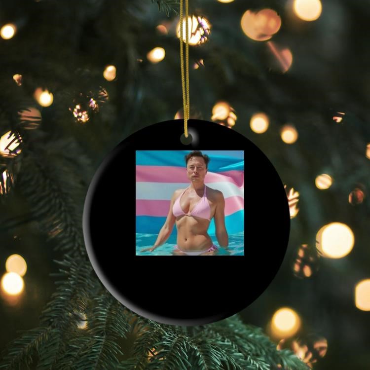 Cibles Elon's Ai Ornament