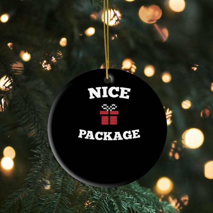 Nice Package Christmas 2024 Ornament