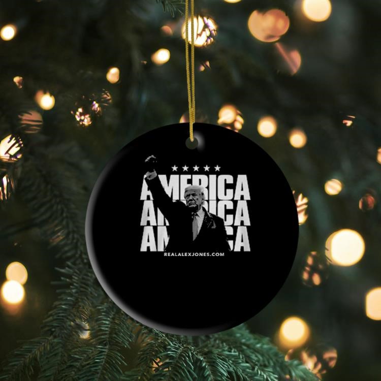 Trump America America America Ornament